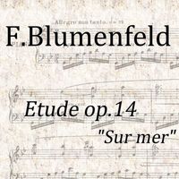 Pianozone - Etude, Op.14 "Sur mer"