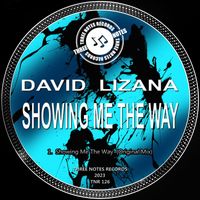 David Lizana - Showing Me The Way (Original Mix)