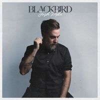 Josh Pyke - Blackbird