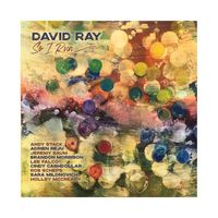 David Ray - So I Run (Explicit)