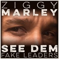 Ziggy Marley - See Dem Fake Leaders