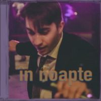 sirius dim - în noapte