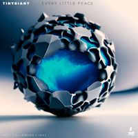 TINYgiant - Every Little Peace