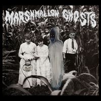 The Marshmallow Ghosts - The Witch Hat House, Pt. 2