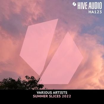 Various Artists - Hive Audio - Summer Slices 2022
