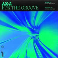 ANG - For the Groove (Explicit)