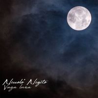 Niccolò Nigito - Vaga luna (Cover Version)