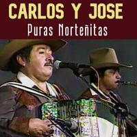Carlos Y Jose - Puras Norteñitas