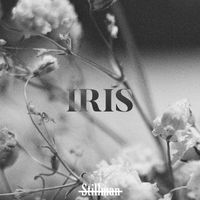 Stillman - Iris
