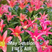 Free Air - May Session