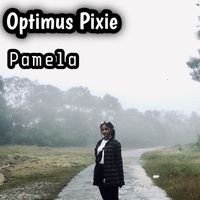Pamela - Optimus Pixie