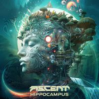 Ascent - Hippocampus