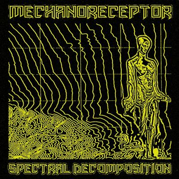 Mechanoreceptor - Spectral Decomposition