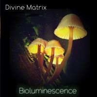 Divine Matrix - Bioluminescence