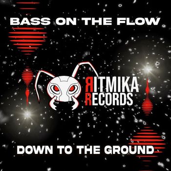 Bass On The Flow - Down To The Ground