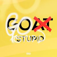 J-Style - Go Stupid