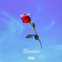 Blossom - Blossom (Explicit)