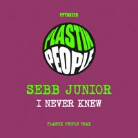 Sebb Junior - I Never Knew
