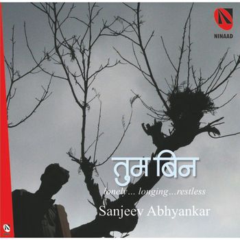 Sanjeev Abhyankar - Tum Bin