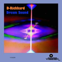 D-Richhard - Dream Sound