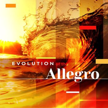 Various Artists - Evolution of the Allegro