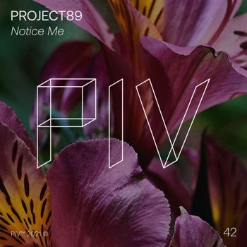 Project89 - Notice Me
