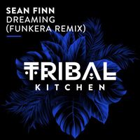 Sean Finn - Dreaming (Funkera Remix)