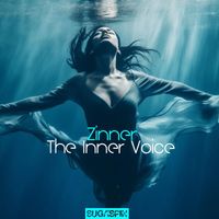 Zinner - The Inner Voice