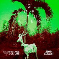 Sofi Tukker - Drinkee (Vintage Culture & John Summit Remix)