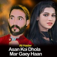Ali Haider - Asan Koi Dhola Mar Gaey Haan