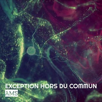 AMS - Exception hors du commun (Explicit)