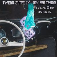 Boy Boy Twink - Twerk Sumthin (Radio Edit)