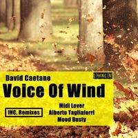 David Caetano - Voice of Wind Inc. Remixes