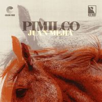 Juan Mejia - Pimilco