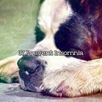 Sleep Baby Sleep - 37 Prevent Insomnia