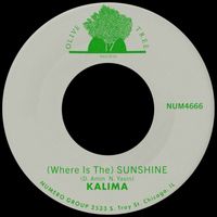 Kalima - (Where Is The) Sunshine
