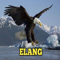 ELANG - Harus bersabar