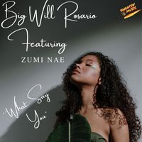 Big Will Rosario - What Say You