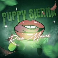 Puppy Sierna - Rico Mami