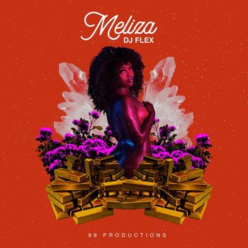 DJ Flex - Meliza