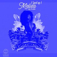 DJ Flex - Meliza (Sped up)