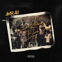 Amir Ali - Serrill Avenue Blues (Explicit)