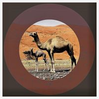 ODahl - Camel Emba