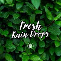 Soothing Sounds - Fresh Rain Drops