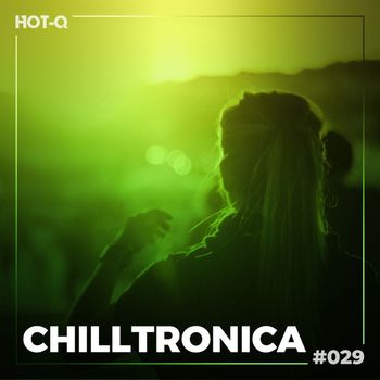 Various Artists - Chilltronica 029