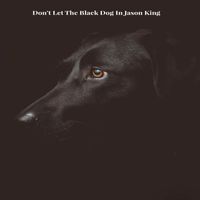 Jason King - Don't Let the Black Dog In