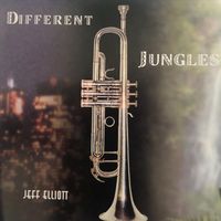 Jeff Elliott - Different Jungles