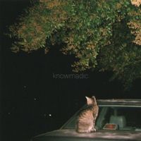 Knowmadic - Strays