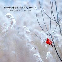 James Michael Stevens - Winterfelt Piano, No. 4