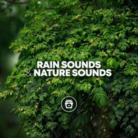 Deep Sleep - Rain Sounds & Nature Sounds